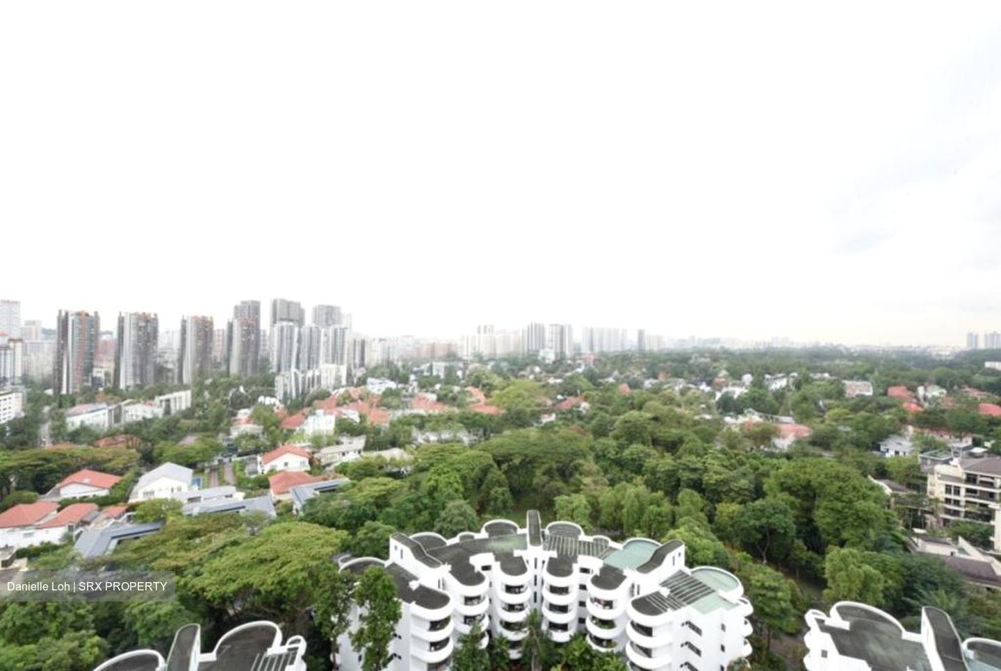 Regency Park (D10), Condominium #520720351